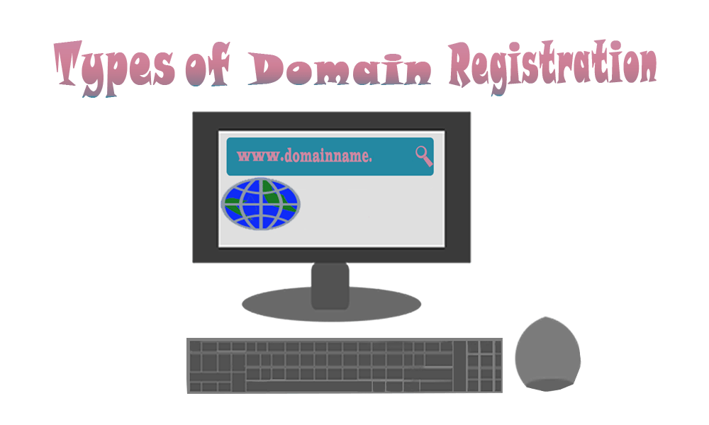 types of domain registration