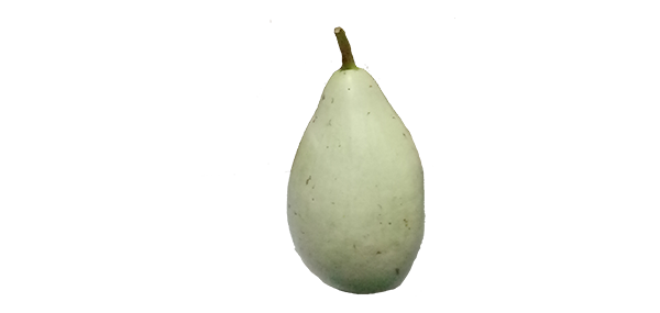 free invoice generator