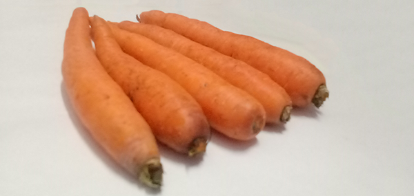 free invoice generator