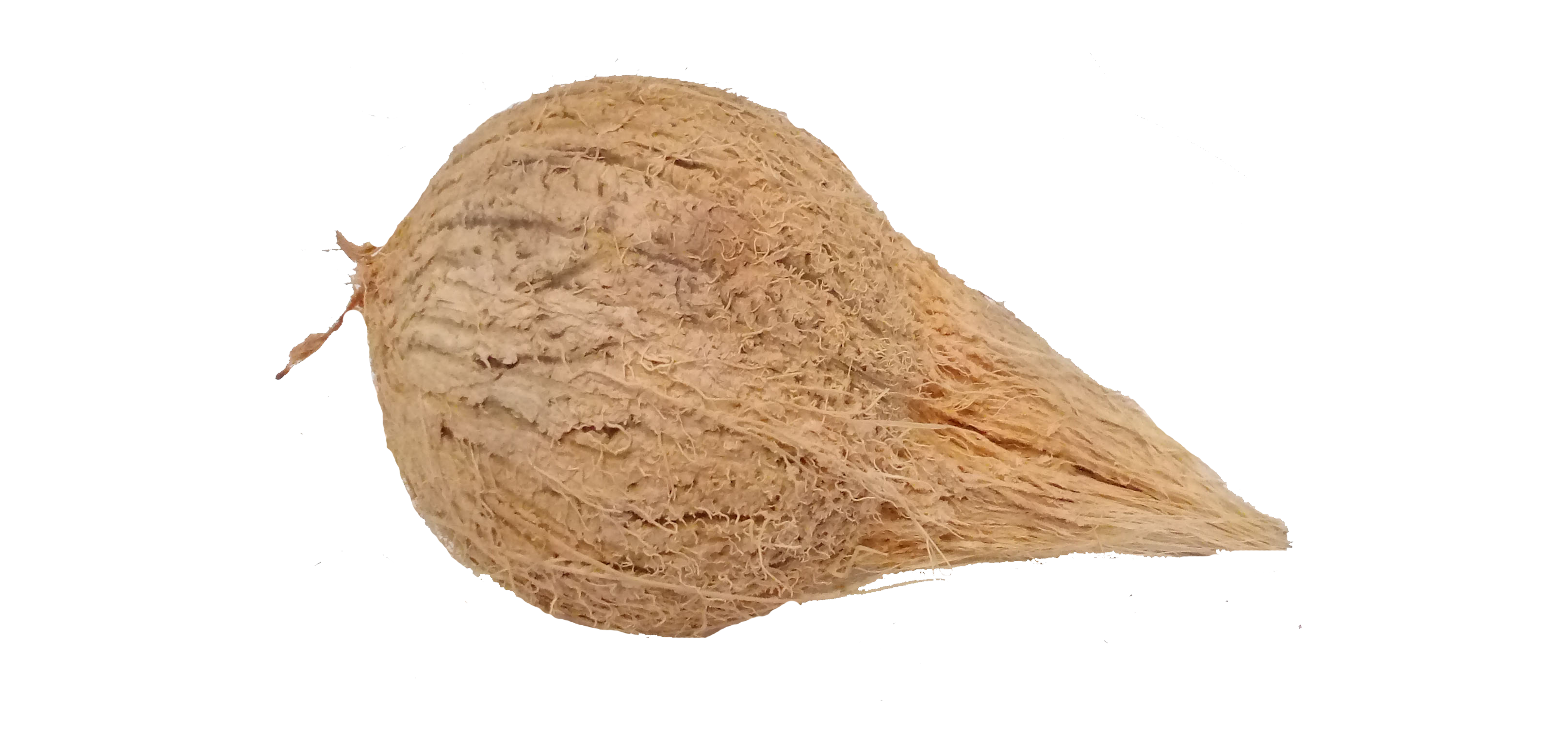 free invoice generator