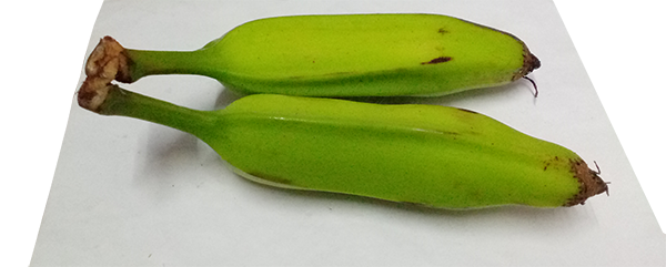 free invoice generator